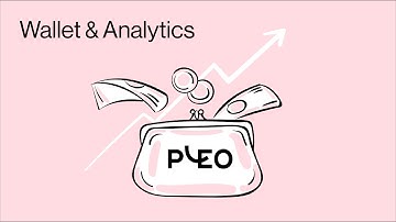 #4 Pleo – Wallet & Analytics (EN)