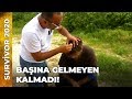 BARIŞ YERE YIĞILDI! | Survivor Ünlüler Gönüllüler