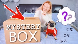 МИСТЕРИ БОКС ДЛЯ СОБАК 🐶 ТАЙНАЯ КОРОБКА ДЛЯ БАКС ЗУМ 😱РАСПАКОВКА ЧЕЛЛЕНДЖ UNBOXING MYSTERY BOX МИСТЕРИ БОКС ДЛЯ СОБАК 🐶 ТАЙНАЯ КОРОБКА ДЛЯ БАКС ЗУМ 😱РАСПАКОВКА ЧЕЛЛЕНДЖ UNBOXING MYSTERY BOX