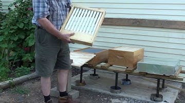 Pin Hook Creek  Bees Installing  bee package: Video No. 1