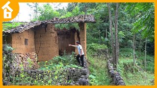 We bought an abandoned house in the wilderness | Start Building a dream house for grandpa