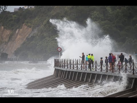 Rocks Road Nelson - Cyclone Fehi Aftermath