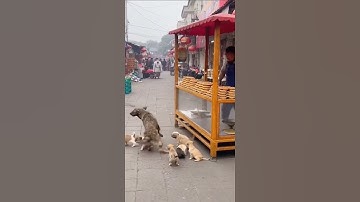 Motherhood: Strength Forged in Adversity