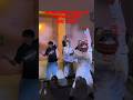 【USJ】新ゾンビデダンスをゾンビとシンクロしてきたよ ハロウィーン・ホラー・ナイト / ADO 唱 #shorts #ユニバ #ハロウィン