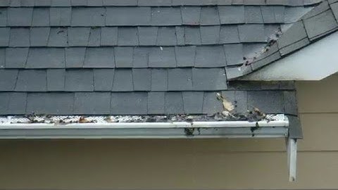 Home Depot Gutter Guard trying but failing to work with fir needles