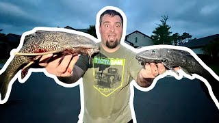 Removing INVASIVE Fish From FLORIDA PONDS (We Get HARASSED by DRUNK Male KAREN!) #fishing #viral