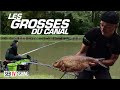 Comment prendre les plus grosses brmes en canal  pche  la canne