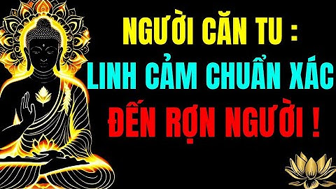 Người Căn Tu Và Linh Cảm Chuẩn Xác: Bí Mật Ẩn Sau Trực Giác Nhiệm Màu ! Tu Tâm Tĩnh Lặng 