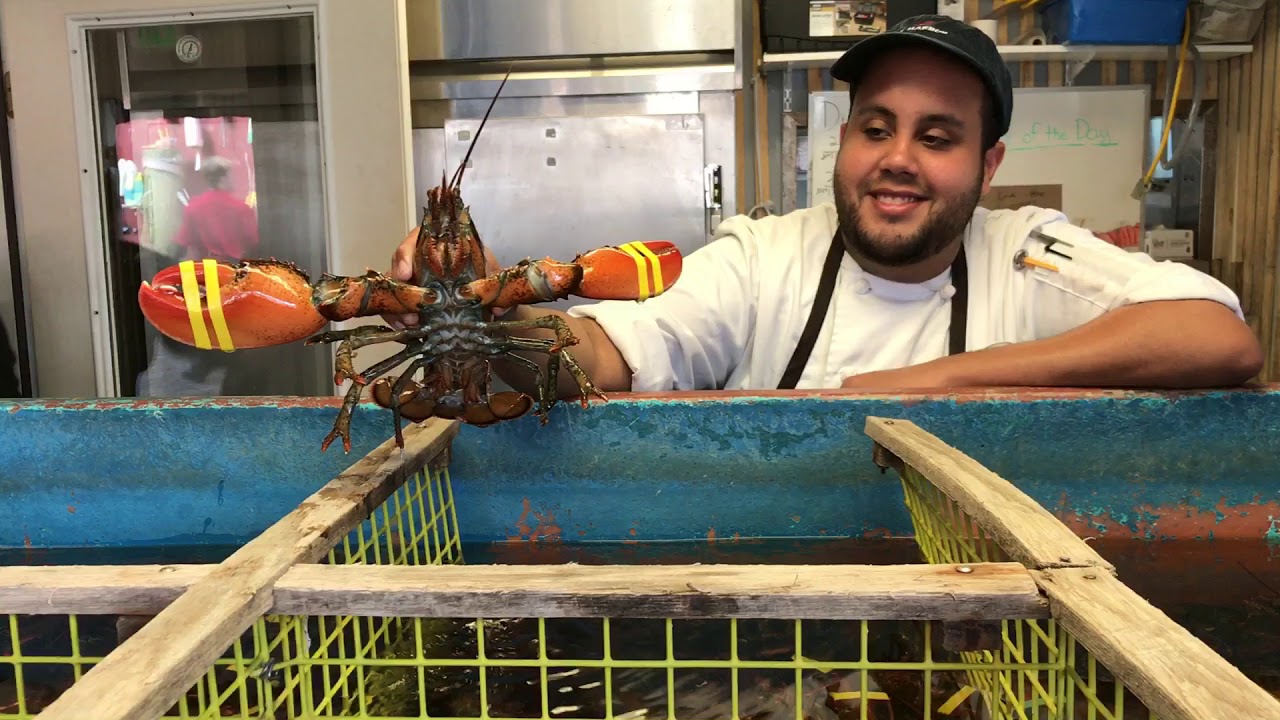 Lobster man helping us choose the best and biggest Lobster available