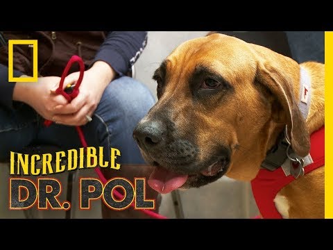 Jaw Dropable Video