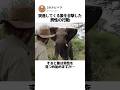 突進してくる象を目撃した男性の行動