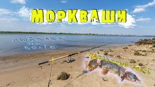 Рыбалка на Волге. Республика Татарстан. Моркваши.