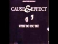 Cause  effect  what do you see extended version