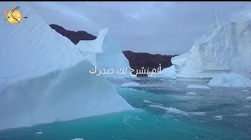 تلاوة مريحة للأعصاب - ألم نشرح لك صدرك (تلاوة رائعة)
