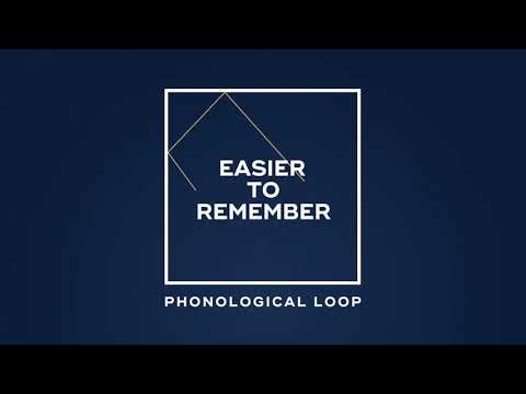 ቪዲዮ: የ phonological loop ሁለት ክፍሎች ምንድን ናቸው?