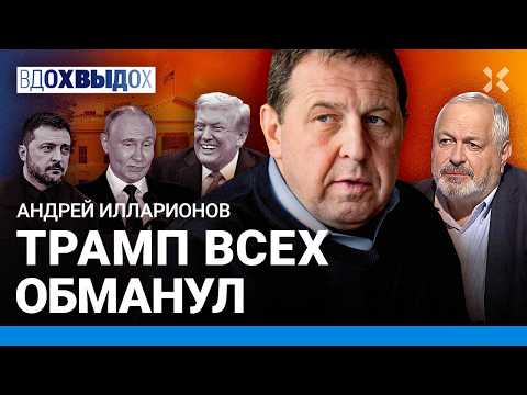 YouTube видео