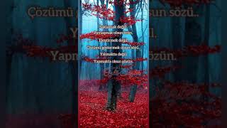 Hayat Kısa Değmez Kalp Kırmaya Kırılmaya…