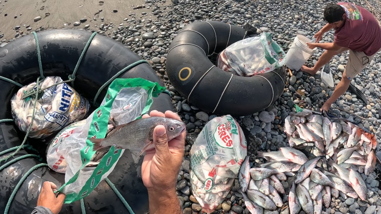 CASI ME PIERDO ESTA PESCA,ESTABA DE ARREBATO!!