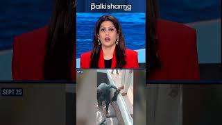$313 Million: India's Massive Drug Bust | The Palki Sharma Show | IGR | India Global Review News
