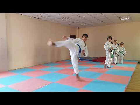 სკოლა ,,სხივი\" TAEKWON-DO