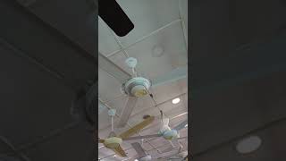 Pelbagai Jenis Kipas Silingvarious Types Of Ceiling Fans