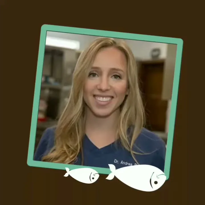 Get to know Dr. Andrea Richter