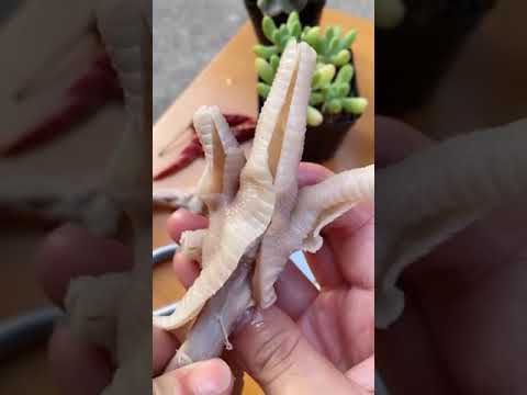 Video cách rút xương chân gà - youtube