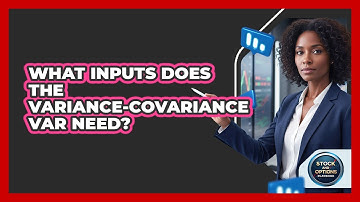 What Inputs Does The Variance-Covariance VaR Need?