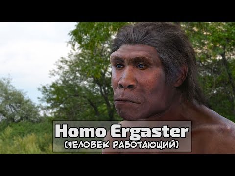 Homo Ergaster ( Человек Работающий )