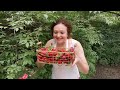 Strawberry jam in the garden