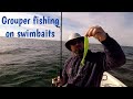 Grouper fishing with swimbaits in Tampa Bay