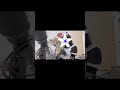 ウルトラソーダ/相対性理論 弾き語りcover #弾き語り #弾き語りカバー #弾き語り初心者 #相対性理論