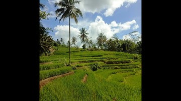 Relaxation Music And Meditation, Sundanese Music (Kacapi & Suling Musical Instruments)