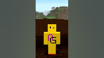 Thumbnail of Best Seed in Minecraft History #minecraft