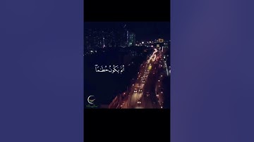 تلاوة رائعة من سورة الحديد. بصوت حاتم المالكي