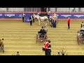 Welsh Pony Cob Pleasure Carriage Driving The Royal Agricultural Winter Fair 2024 Horse Show 