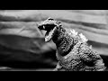 godzilla 1954 atomic breath/walking test.