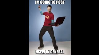 Sheldon posts NSFW in #general: The Movie