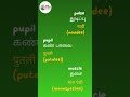 Body Parts in Hindi Part-3 🧑 | Learn Hindi through Tamil | #shortsfeed #viral | #trending