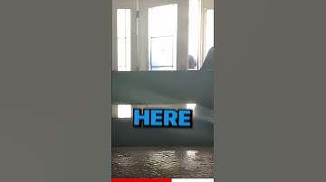 Best Pizza Delivery Driver Ever