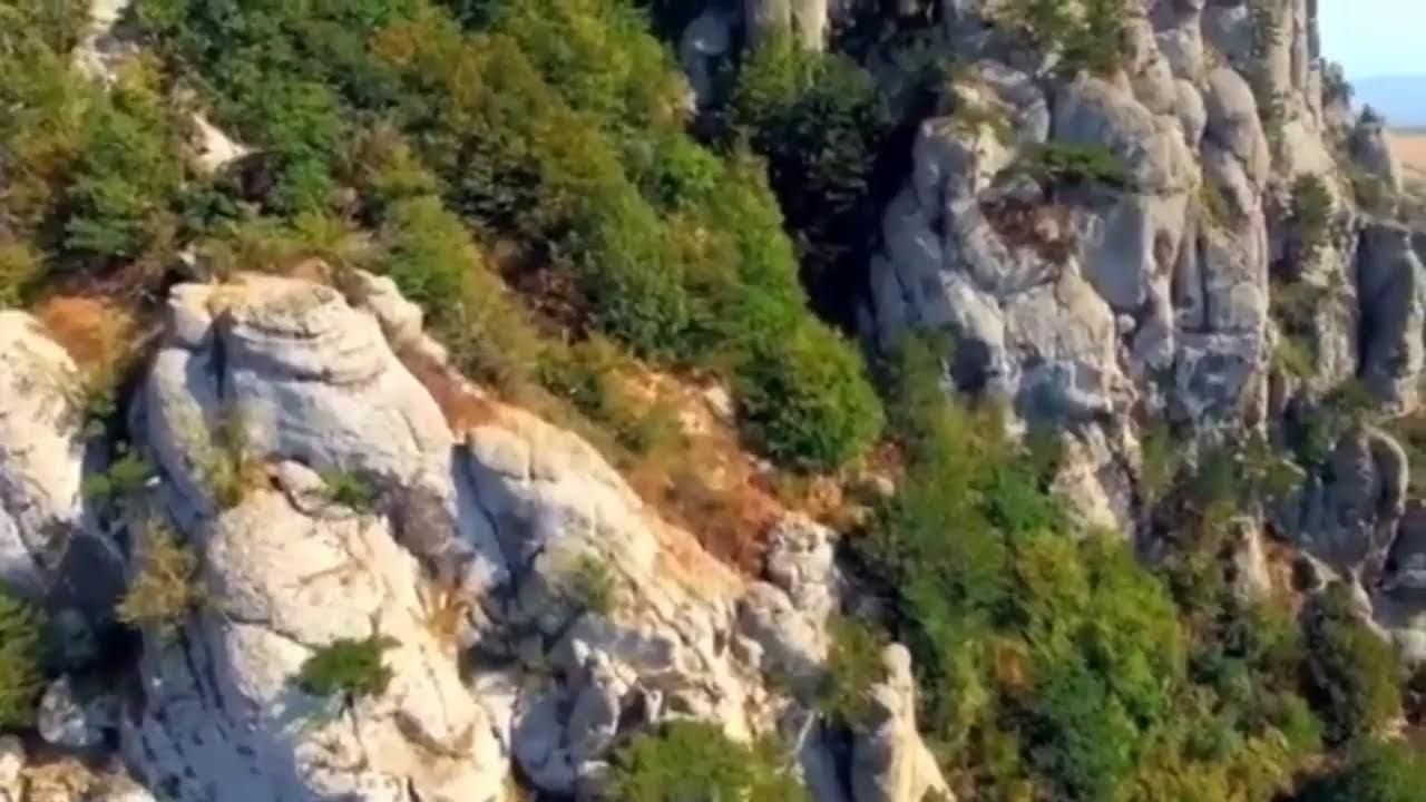 Episode 75 with Steve Woolf