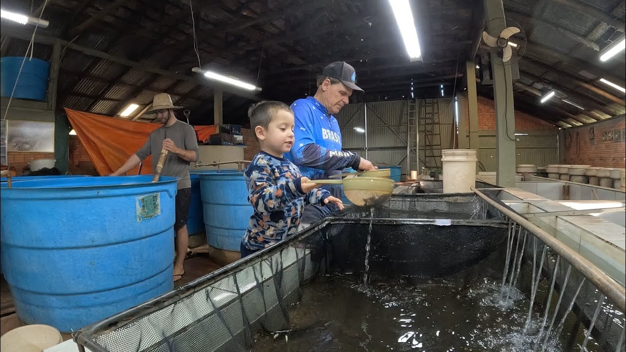 3° geração aprendendo a lida do peixe