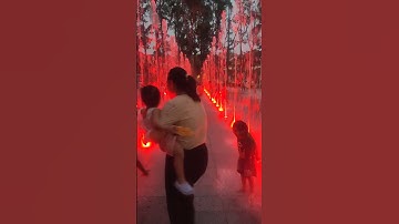 Suri cùng Bơ tắm công viên Tôn Đức Thắng phung nước có đèn