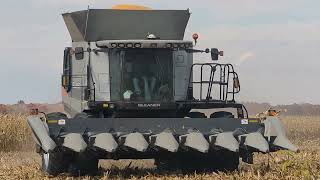 Double Combine Action -Gleaner AGCO A76 - CASE IH Axial-Flow® 8240 - Corn Harvest - #harvestchaser