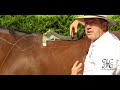 Saddle trees explained with Peter Horobin. Benefits of the StrideFree tree.