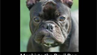 ASSAULT WITH A DEADLY GLUE GUN