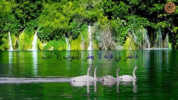 اذكار الصباح جميل  بصوت القارئ نورالدين سليم نوري
