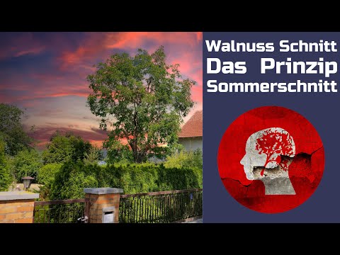 Video: Walnuss schneiden: Tipps und Regeln