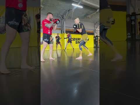 Wszystko w moich