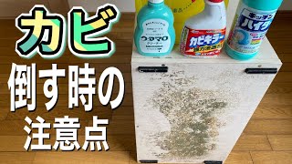 【カビ】生えたら滅菌それか処分【湿気】気になるお家は要チェック